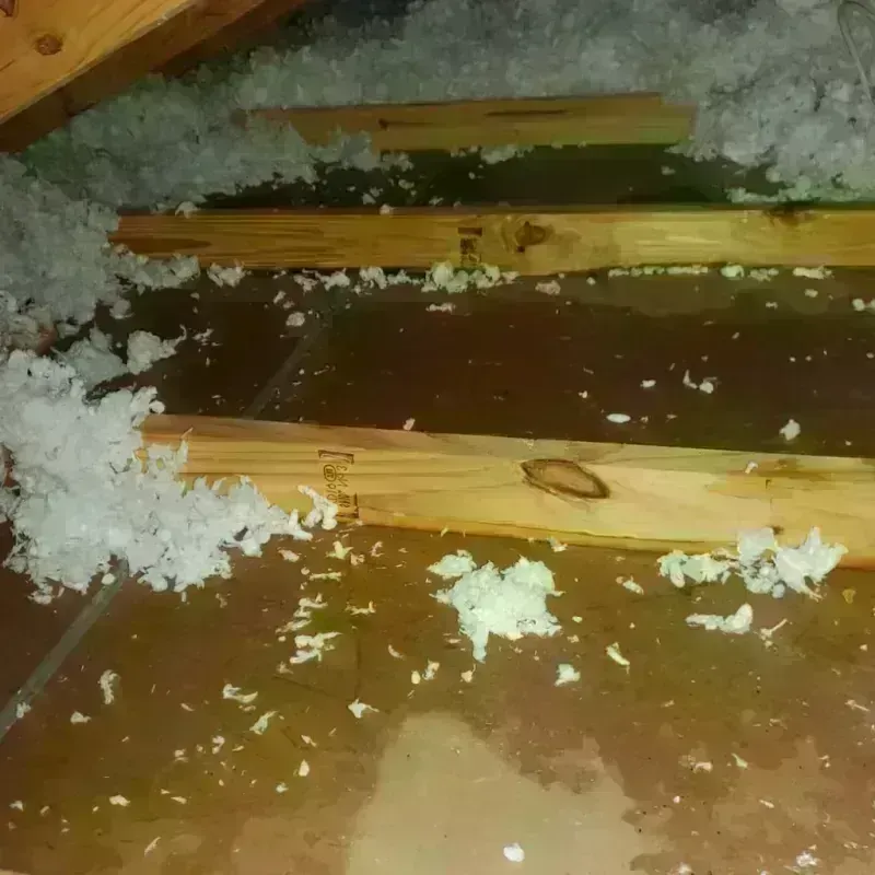 Attic Water Damage in Sparta, TN