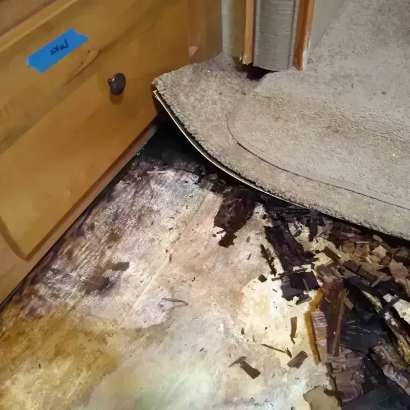 Wood Floor Water Damage in Sparta, TN